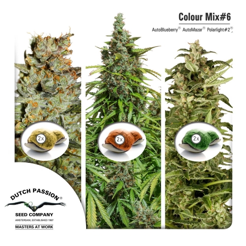 Colour Mix 6 (AutoFem)