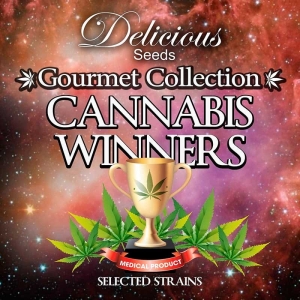 Gourmet Collection Cannabis Winners 2 Hanfsamen