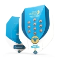 Royal Medic CBD 