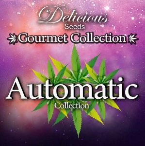 Gourmet Collection Automatic 2 Hanfsamen