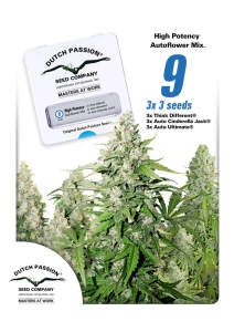 High Potency Auto Hanfsamen