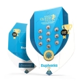 Euphoria CBD