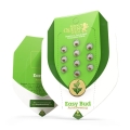Easy Bud Auto