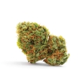 AK47 auto