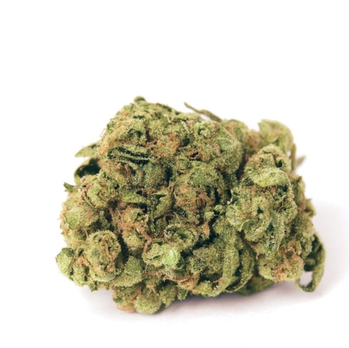 Gorilla auto