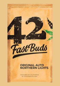 Original Auto Northern Lights Hanfsamen