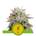 Mimosa Auto