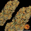 Watermelon Zkittlez