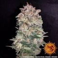 Pineapple Chunk