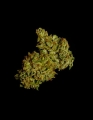 Cosmos F1 CBD