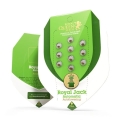 Royal Jack Auto