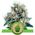 Royal Creamatic Auto
