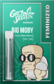 BIG MOBY