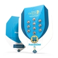 Painkiller XL CBD