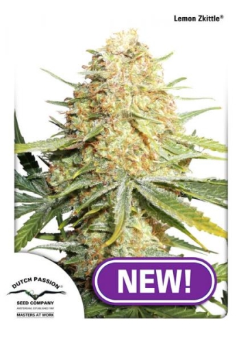 Lemon Zkittle