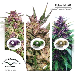 Colour Mix 1 Hanfsamen