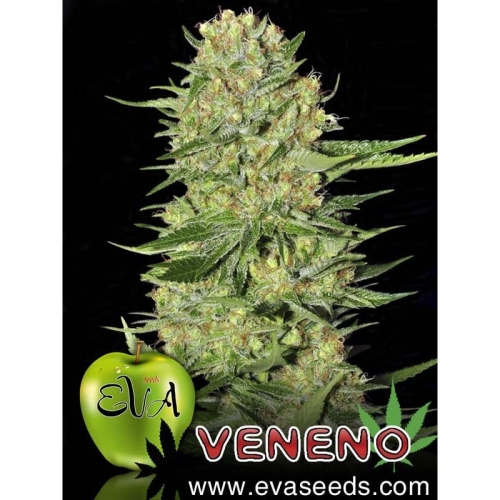 Veneno