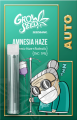 Amnesia Haze auto