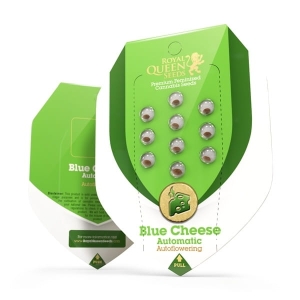 Blue Cheese Auto Hanfsamen