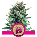 Blue Cheese 
