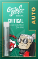 CRITICAL auto