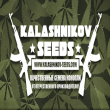 Kalashnikov Seeds